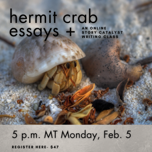 Hermit Crab Essays - A Story Catalyst writing class